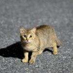 HPのバグの為リニューアル中です。