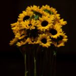 2024年8月夏季休暇について